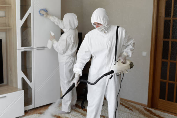 Affordable Sewage Cleanup solutions in Telferner, TX